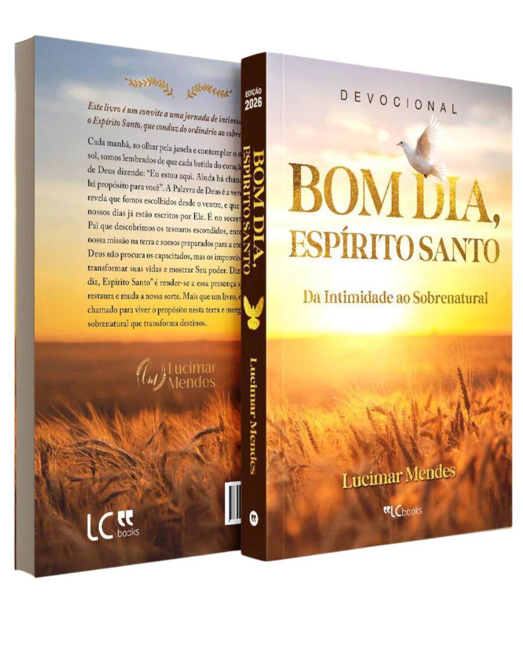 Livro - Bom dia Espírito Santo